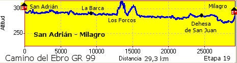 San Adrián - Milagro